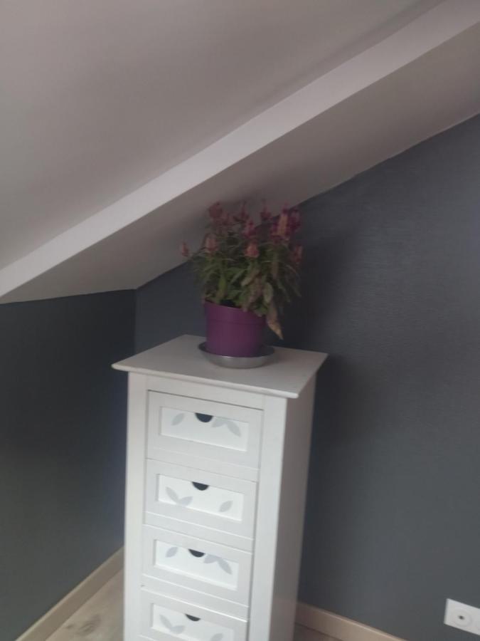 Ferienwohnung Chambre Pinky Elisabeth Proche Paris Stains Exterior foto